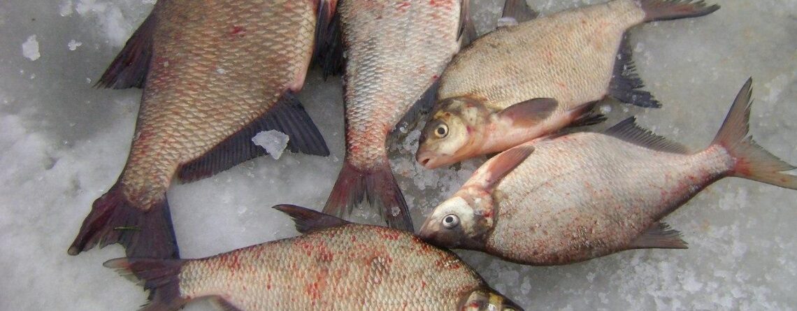 Мормышки на леща